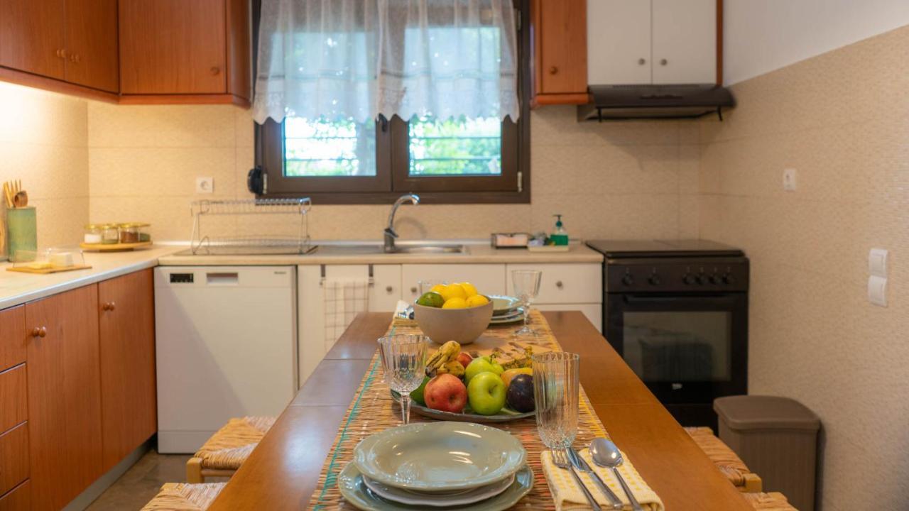 Postmans Apartment Under Meteora Kalambáka Kültér fotó